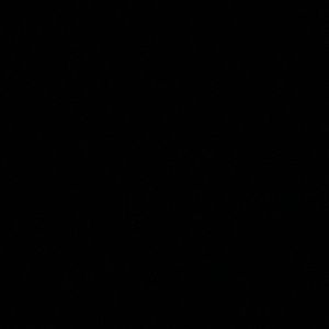 Meet your Posher, Marcus